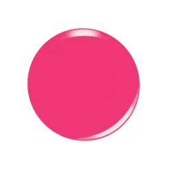 BACK TO THE FUCHSIA