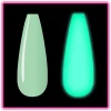 HINT OF MINT