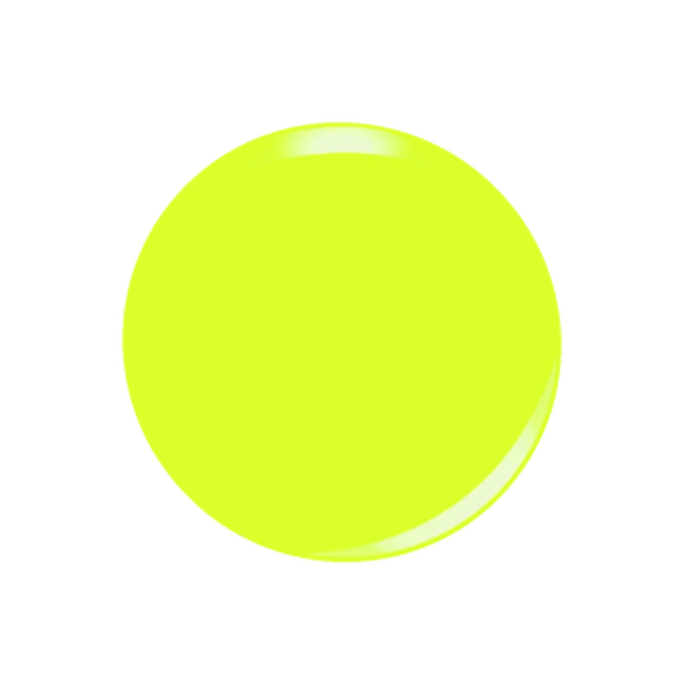 Light Up