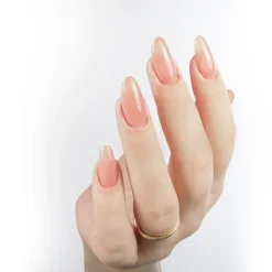 Tinted Rubber Top Coat Collection
